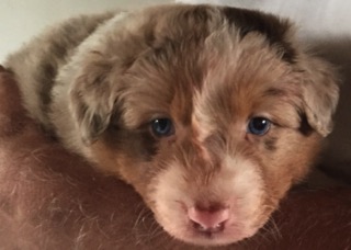 eerste keer in mijn handen